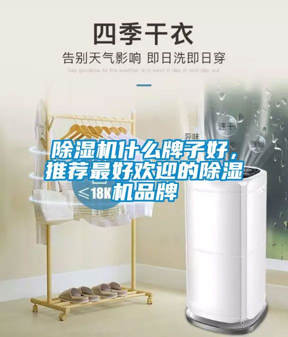 除濕機什么牌子好，推薦最好歡迎的除濕機品牌