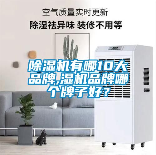 除濕機(jī)有哪10大品牌,濕機(jī)品牌哪個(gè)牌子好？