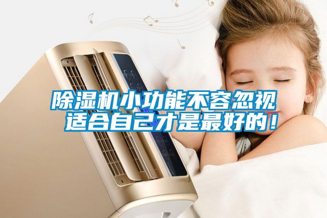 除濕機小功能不容忽視 適合自己才是最好的！