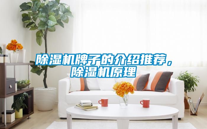 除濕機牌子的介紹推薦，除濕機原理