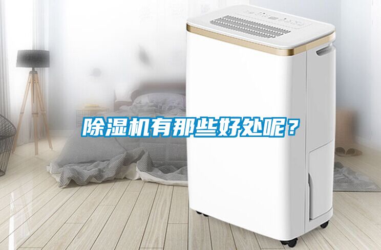 除濕機有那些好處呢？