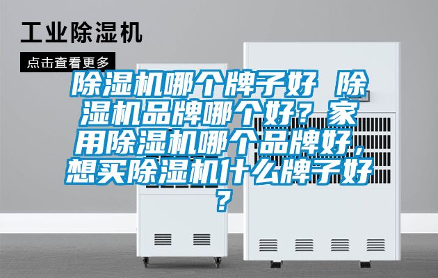 除濕機(jī)哪個牌子好 除濕機(jī)品牌哪個好？家用除濕機(jī)哪個品牌好，想買除濕機(jī)什么牌子好？