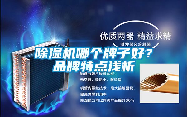 除濕機(jī)哪個(gè)牌子好？品牌特點(diǎn)淺析