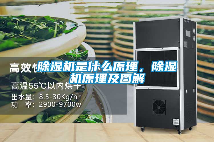 除濕機是什么原理，除濕機原理及圖解