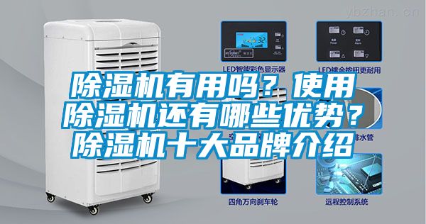 除濕機(jī)有用嗎？使用除濕機(jī)還有哪些優(yōu)勢？除濕機(jī)十大品牌介紹