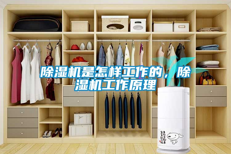 除濕機是怎樣工作的，除濕機工作原理