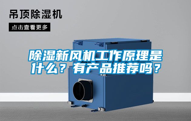 除濕新風(fēng)機(jī)工作原理是什么？有產(chǎn)品推薦嗎？