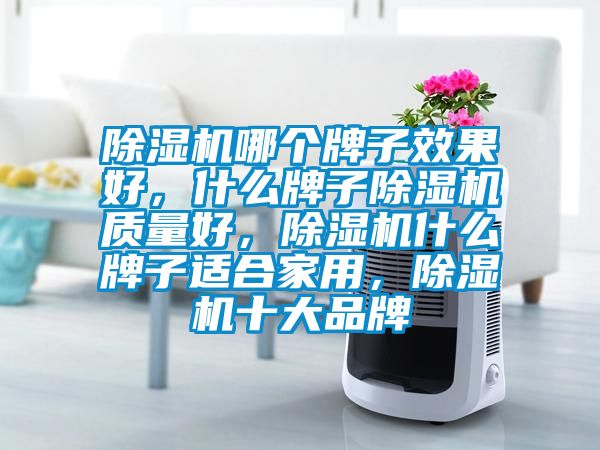 除濕機哪個牌子效果好，什么牌子除濕機質(zhì)量好，除濕機什么牌子適合家用，除濕機十大品牌