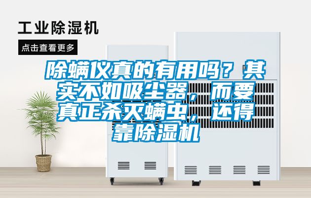 除螨儀真的有用嗎？其實(shí)不如吸塵器，而要真正殺滅螨蟲，還得靠除濕機(jī)