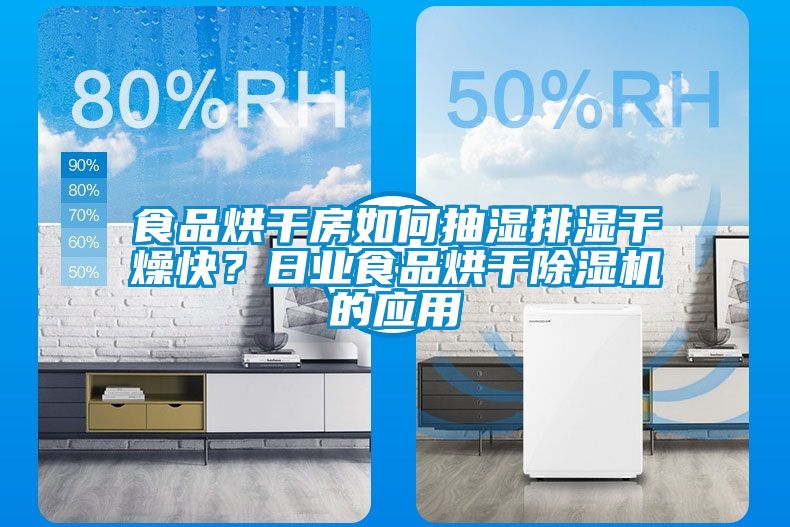 食品烘干房如何抽濕排濕干燥快？日業(yè)食品烘干除濕機的應(yīng)用