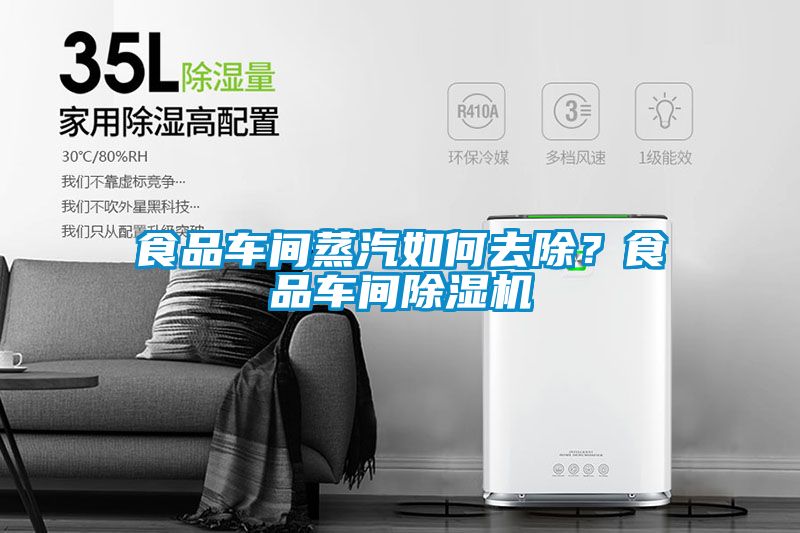 食品車間蒸汽如何去除？食品車間除濕機