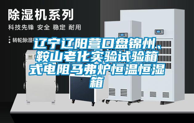 遼寧遼陽(yáng)營(yíng)口盤錦州、鞍山老化實(shí)驗(yàn)試驗(yàn)箱式電阻馬弗爐恒溫恒濕箱