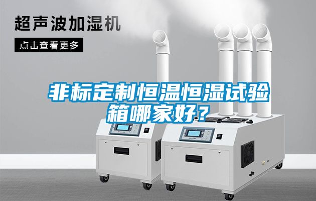 非標定制恒溫恒濕試驗箱哪家好？
