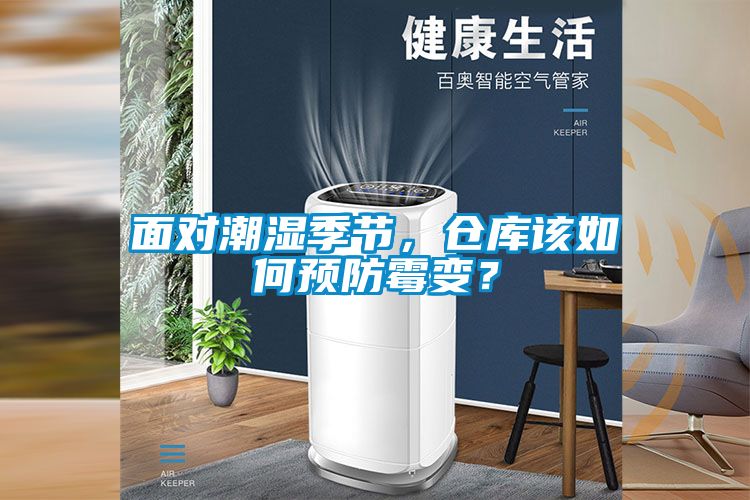 面對潮濕季節(jié)，倉庫該如何預防霉變？