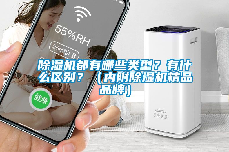 除濕機(jī)都有哪些類(lèi)型？有什么區(qū)別？（內(nèi)附除濕機(jī)精品品牌）
