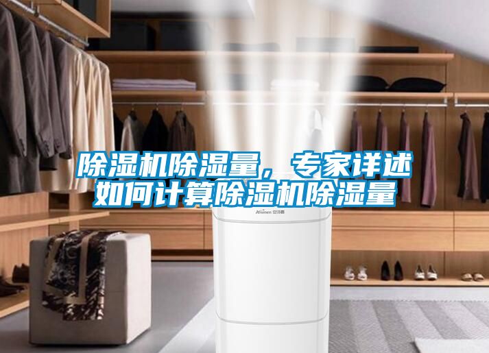 除濕機除濕量，專家詳述如何計算除濕機除濕量