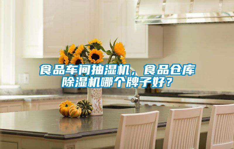 食品車間抽濕機，食品倉庫除濕機哪個牌子好？