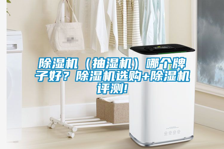除濕機（抽濕機）哪個牌子好？除濕機選購+除濕機評測!