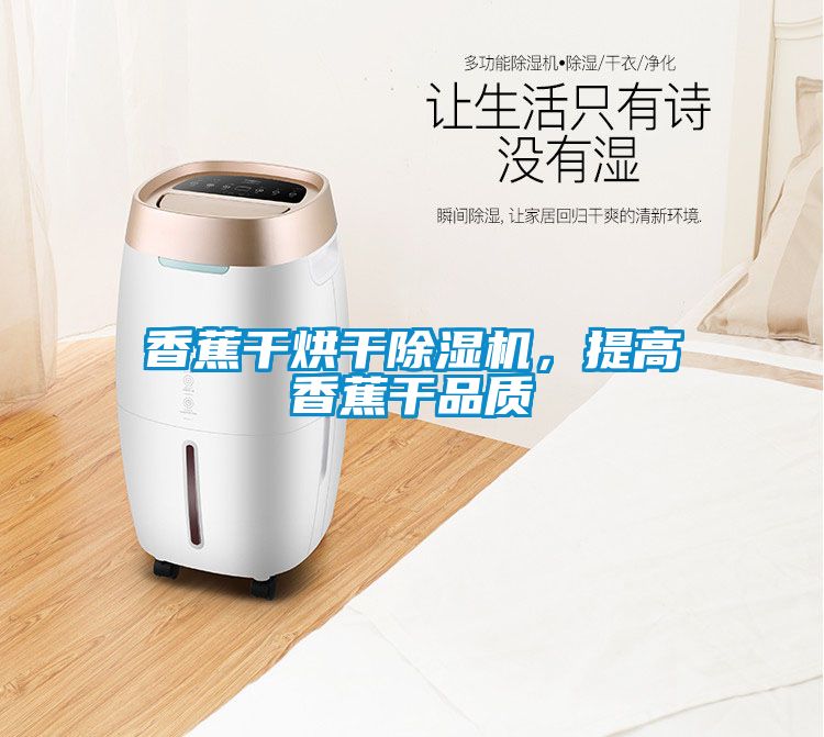 香蕉干烘干除濕機，提高香蕉干品質